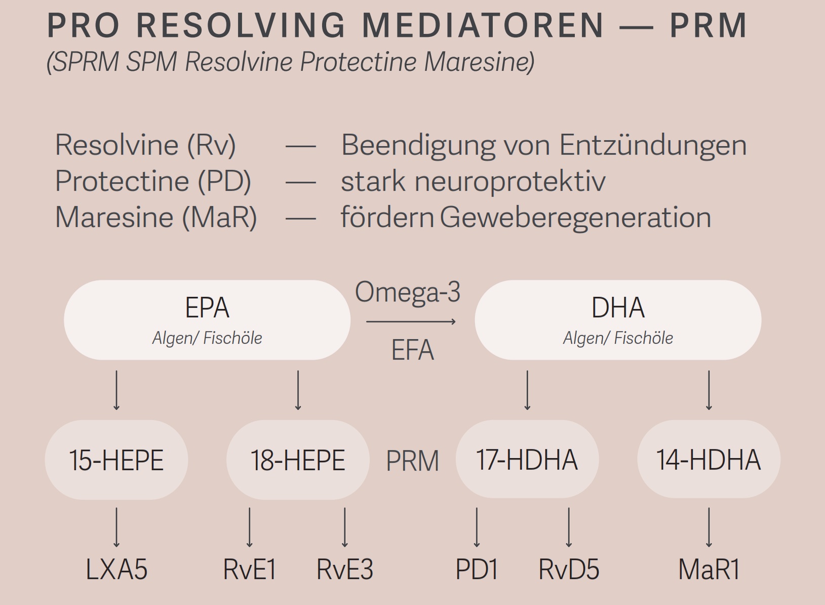 Informationen zu PRM (SPM) - Pro Resolving Mediators - PRM,SPM: Resolvine, Protectine &amp;amp; Omega-3 erklärt