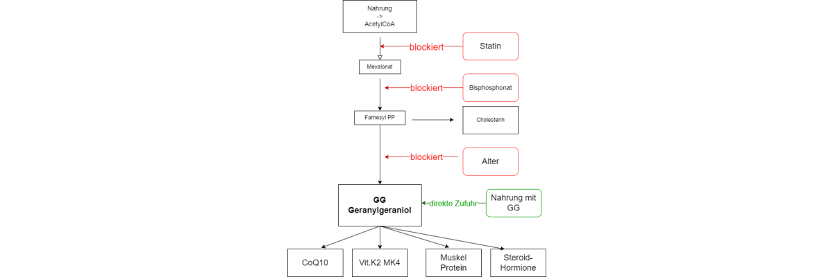Information on GG (Geranylgeraniol) - 