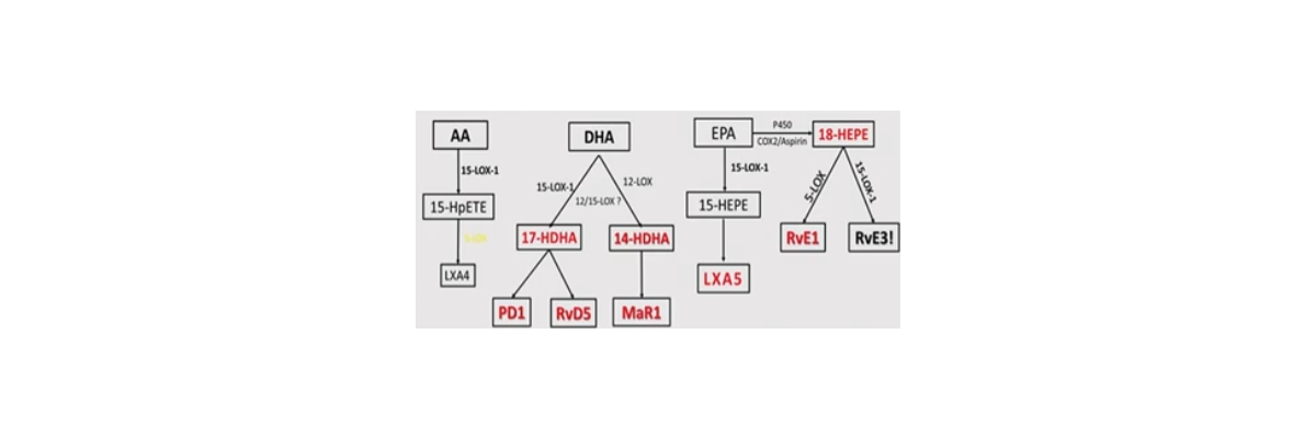 Information in PRM (SPM), omega-3 messenger substances   - 