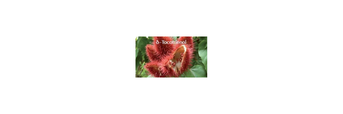 Why tocotrienols after all - Tocotrienols: Special Vitamin E for Cellular Protection