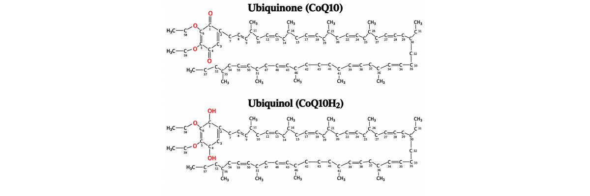 Coenzyme Q10, ubiquinol, ubiquinone – what are they all about? - 